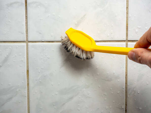 Best Mold Remediation for Specific Building Types in Mount Hore, WI