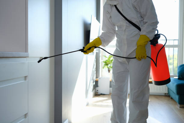 Best Industrial Mold Remediation in Mount Hore, WI