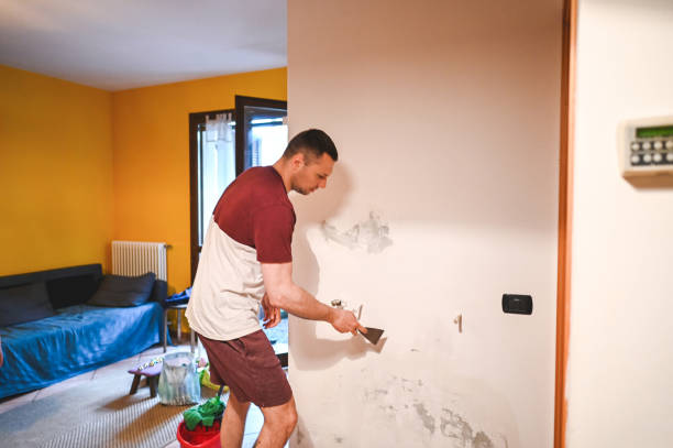 Best Commercial Mold Remediation in Mount Hore, WI